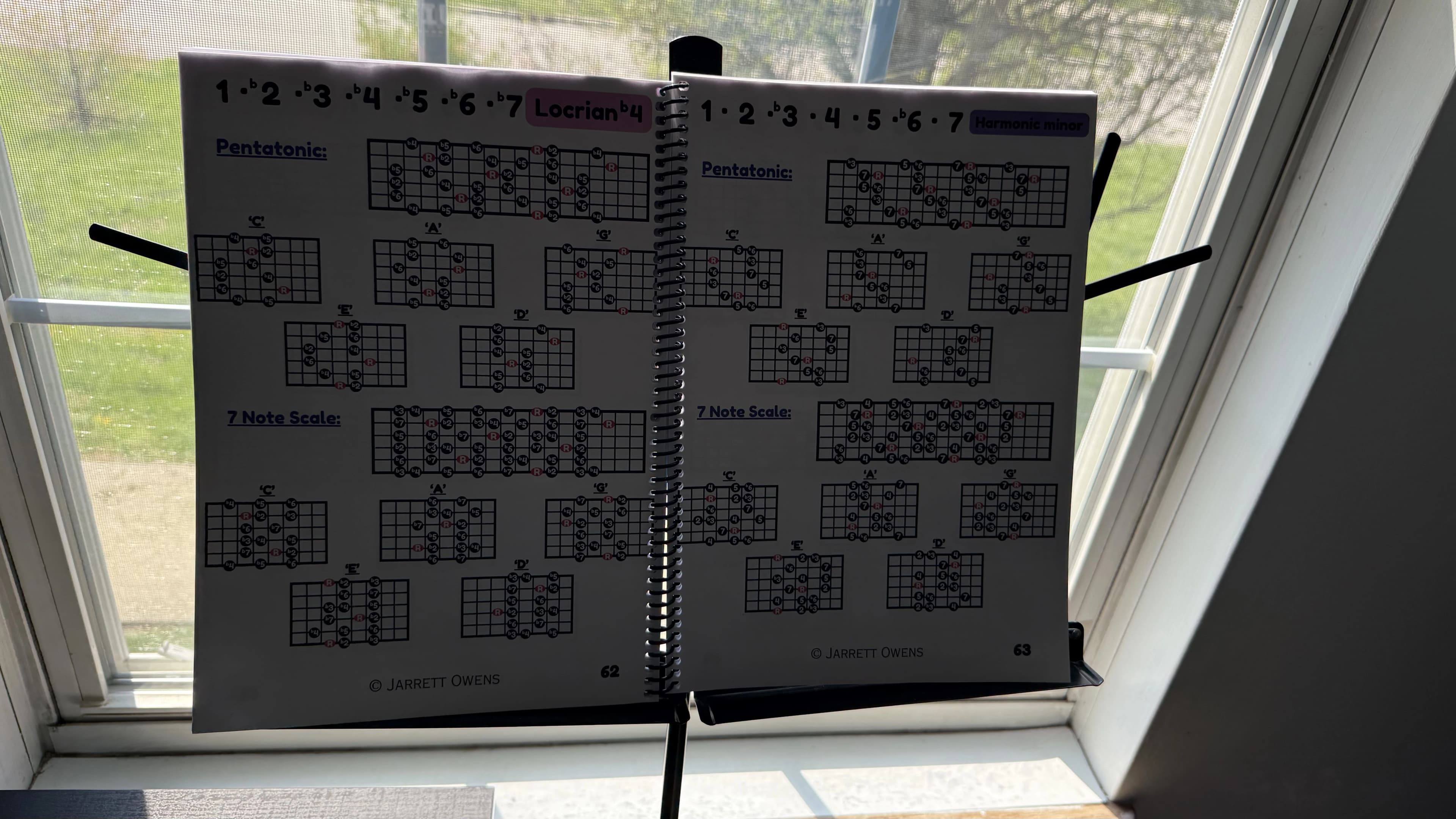 Guitar Atlas — detail shot